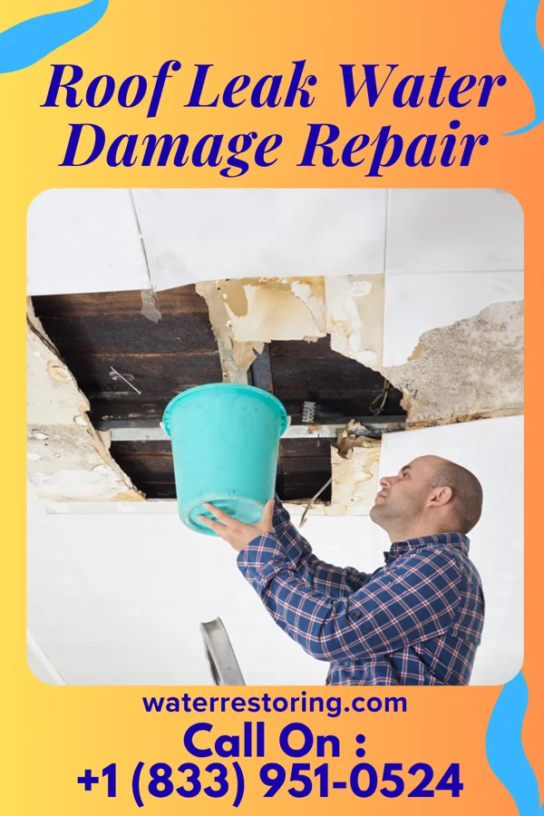 Roof Leak Water Damage Repair in Leslie, MO